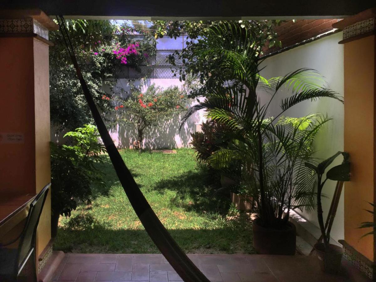 Los Nardos Hostel -Pet Friendly- Oaxaca Екстериор снимка