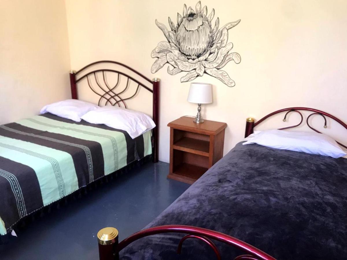 Los Nardos Hostel -Pet Friendly- Oaxaca Екстериор снимка