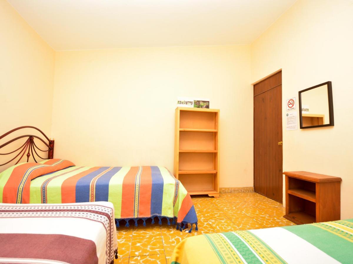 Los Nardos Hostel -Pet Friendly- Oaxaca Екстериор снимка