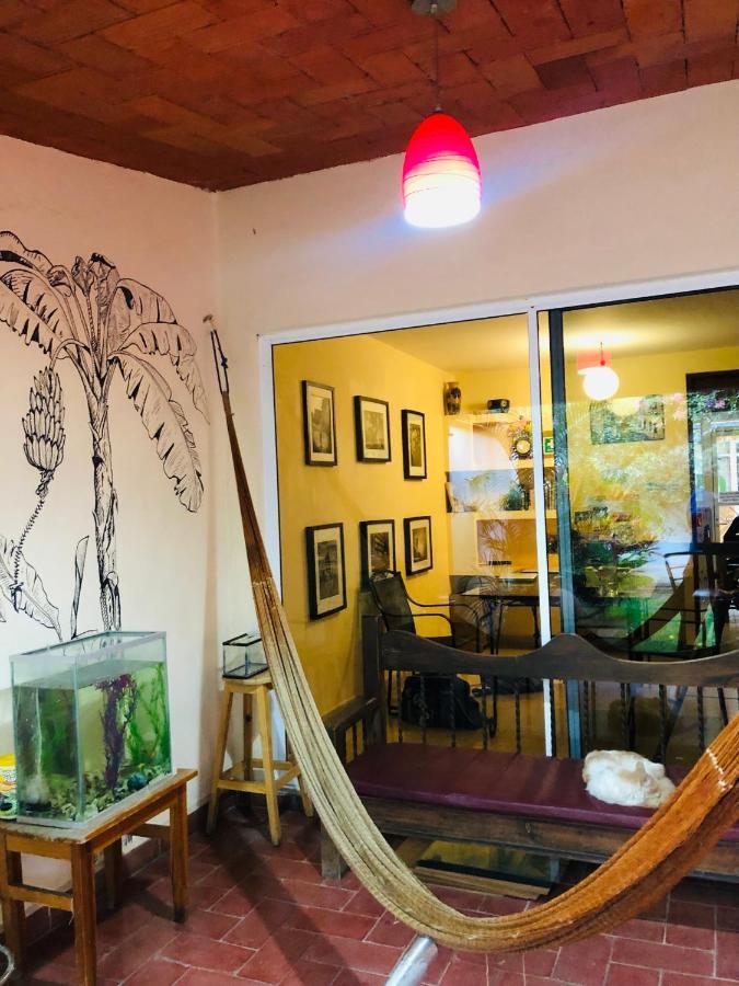 Los Nardos Hostel -Pet Friendly- Oaxaca Екстериор снимка