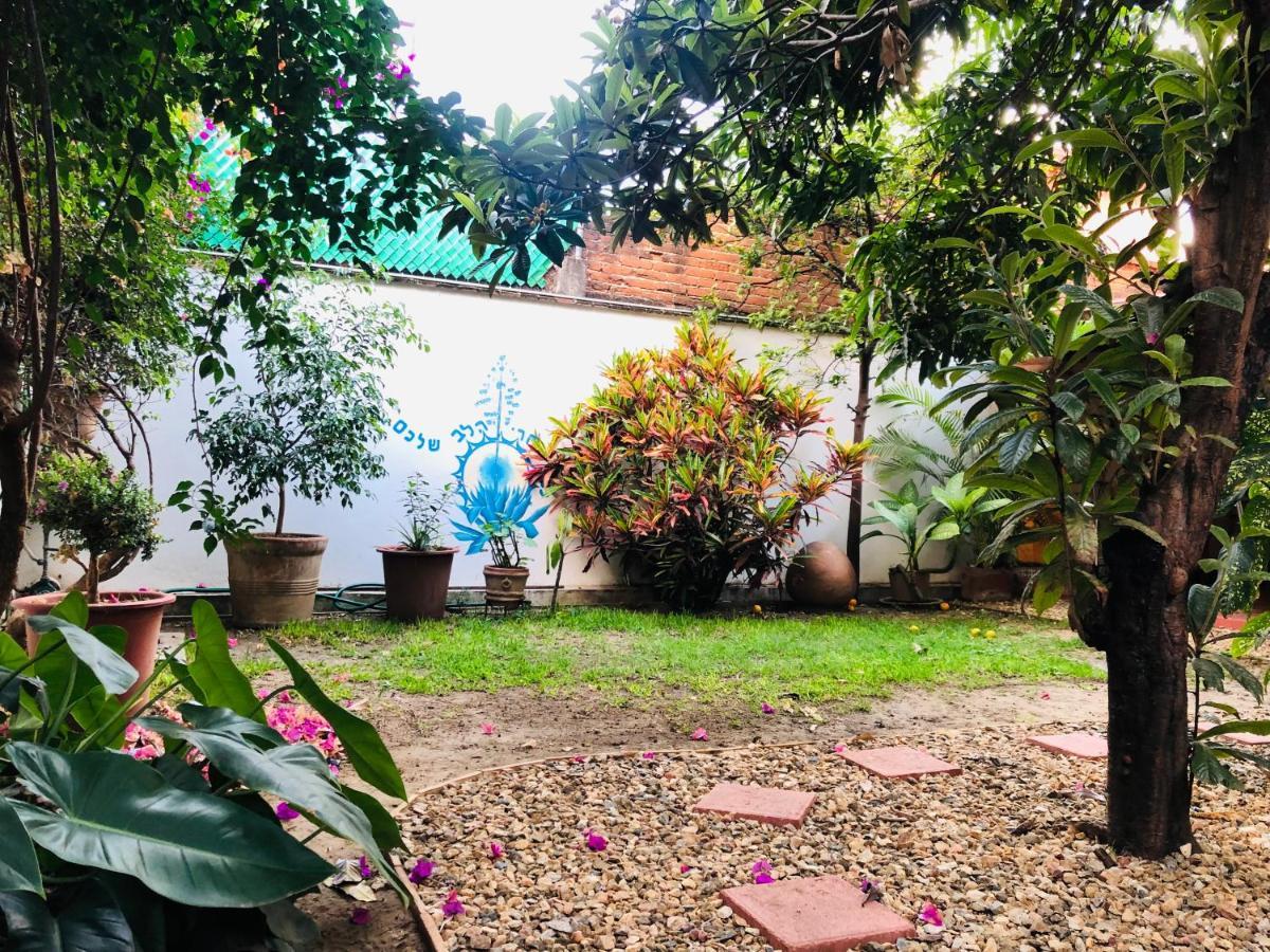 Los Nardos Hostel -Pet Friendly- Oaxaca Екстериор снимка
