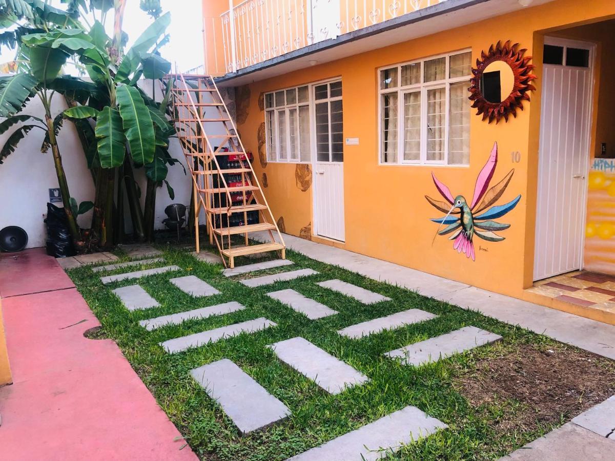 Los Nardos Hostel -Pet Friendly- Oaxaca Екстериор снимка