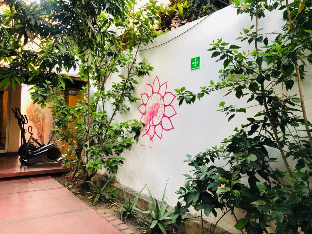 Los Nardos Hostel -Pet Friendly- Oaxaca Екстериор снимка