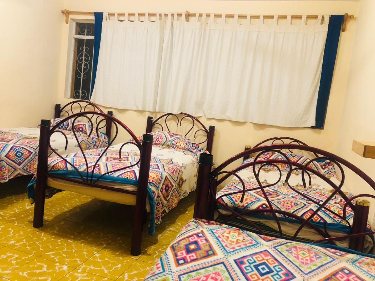 Los Nardos Hostel -Pet Friendly- Oaxaca Екстериор снимка