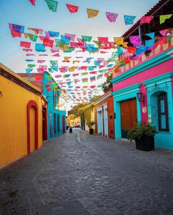 Los Nardos Hostel -Pet Friendly- Oaxaca Екстериор снимка