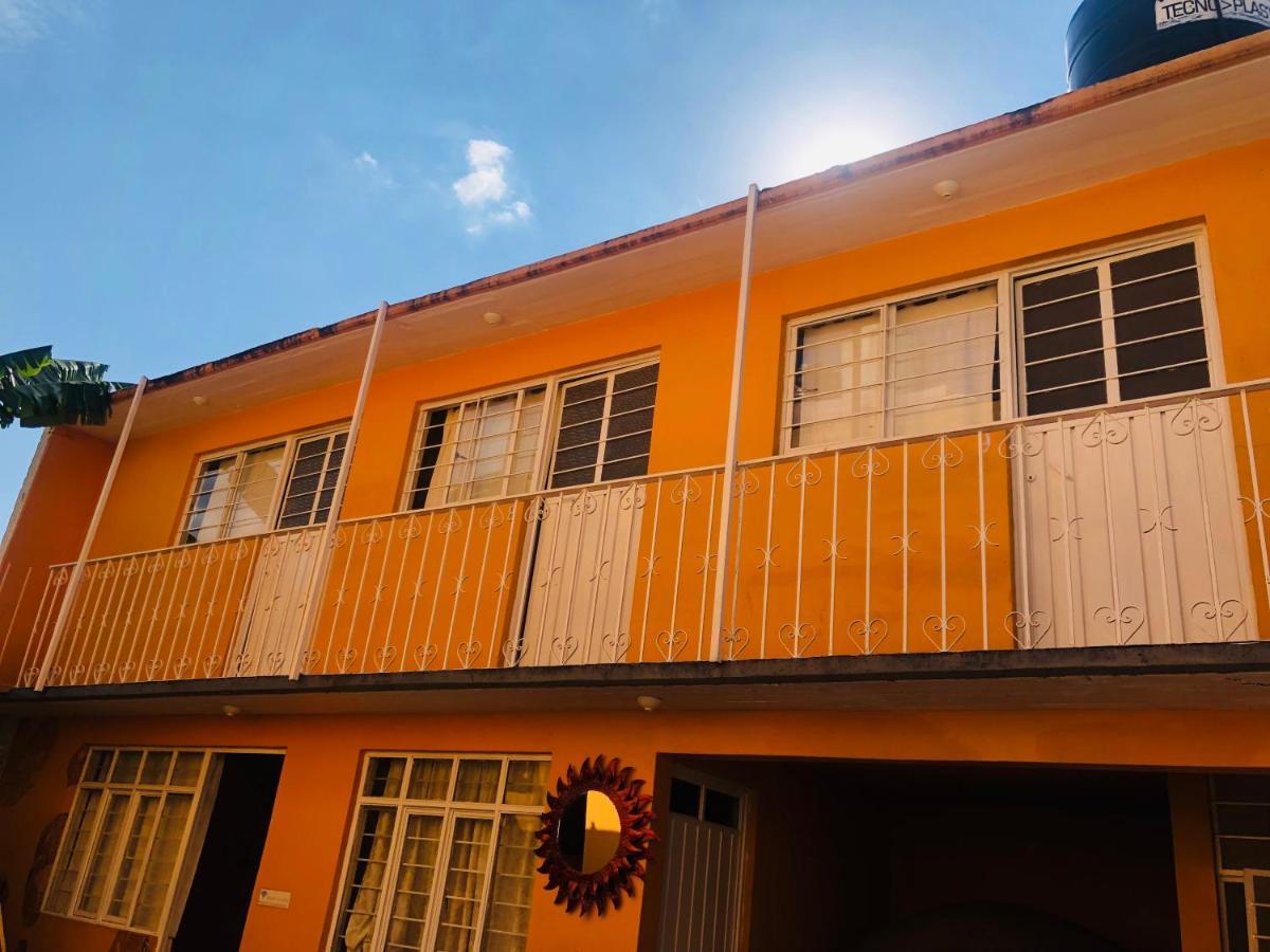 Los Nardos Hostel -Pet Friendly- Oaxaca Екстериор снимка