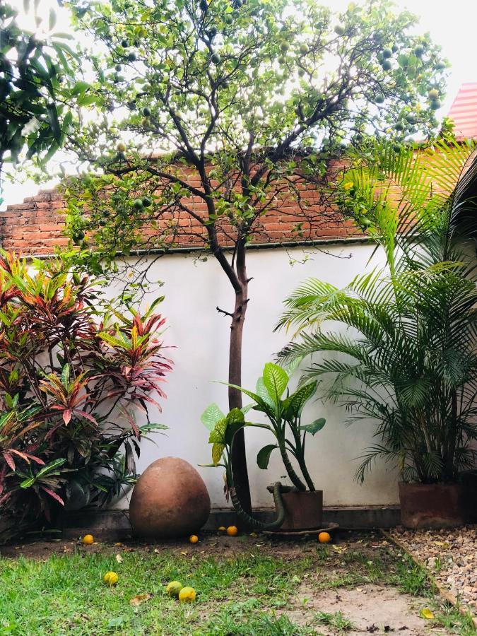 Los Nardos Hostel -Pet Friendly- Oaxaca Екстериор снимка