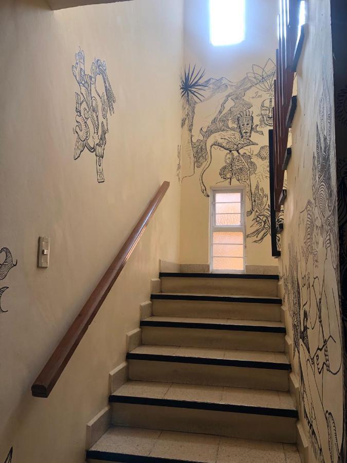 Los Nardos Hostel -Pet Friendly- Oaxaca Екстериор снимка