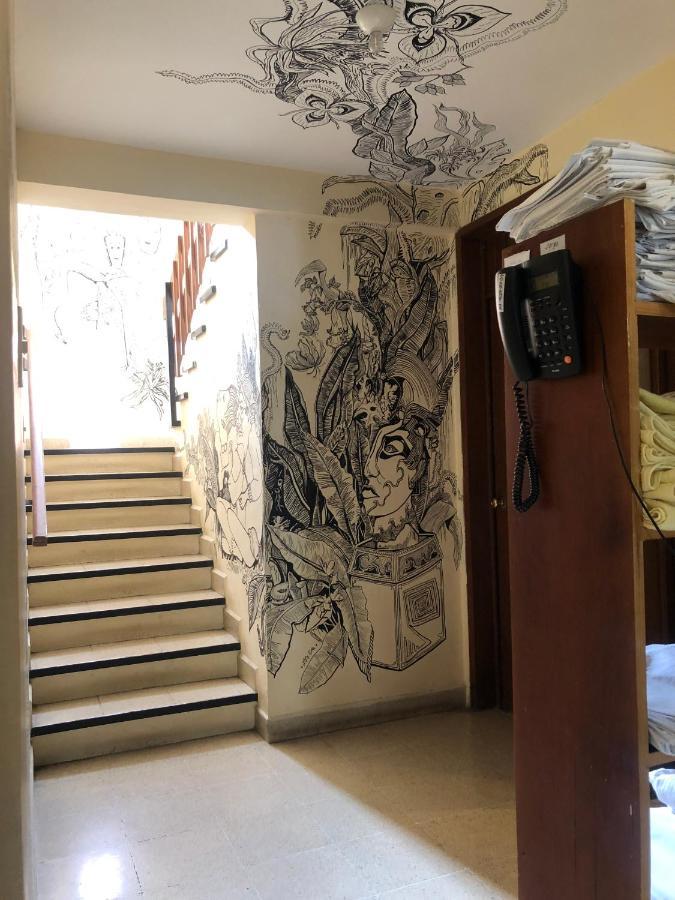 Los Nardos Hostel -Pet Friendly- Oaxaca Екстериор снимка
