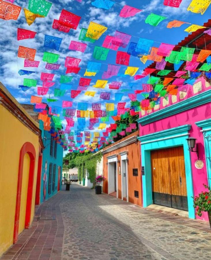 Los Nardos Hostel -Pet Friendly- Oaxaca Екстериор снимка