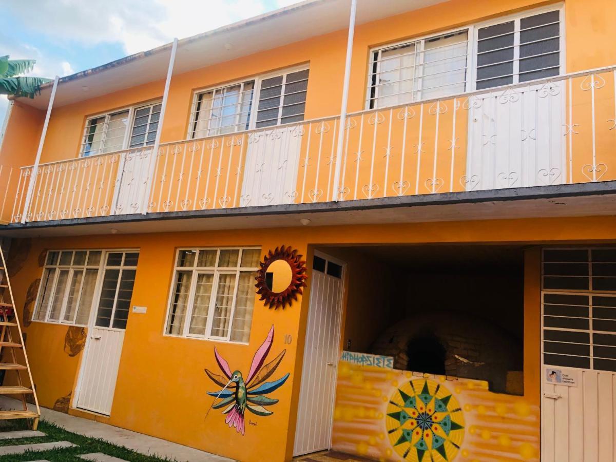 Los Nardos Hostel -Pet Friendly- Oaxaca Екстериор снимка
