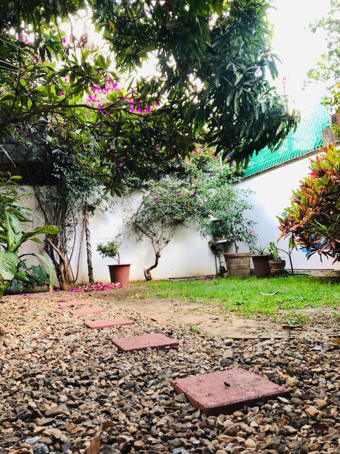 Los Nardos Hostel -Pet Friendly- Oaxaca Екстериор снимка