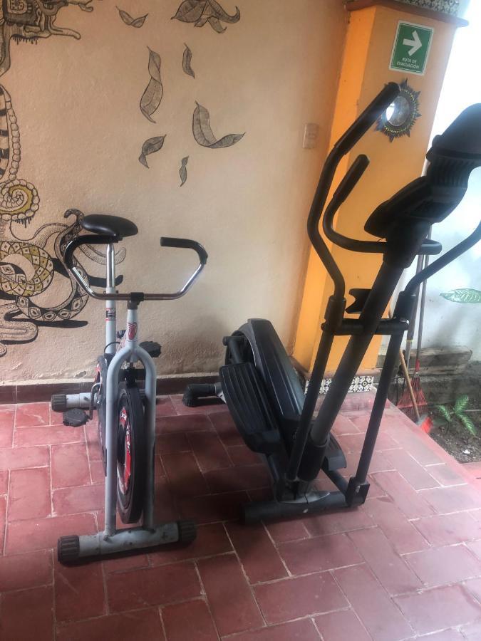 Los Nardos Hostel -Pet Friendly- Oaxaca Екстериор снимка