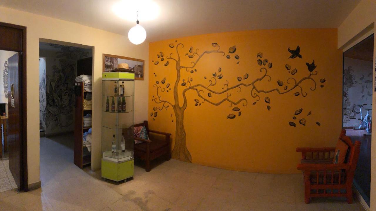 Los Nardos Hostel -Pet Friendly- Oaxaca Екстериор снимка