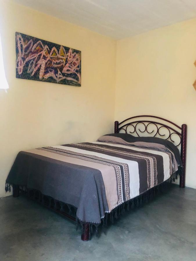 Los Nardos Hostel -Pet Friendly- Oaxaca Екстериор снимка