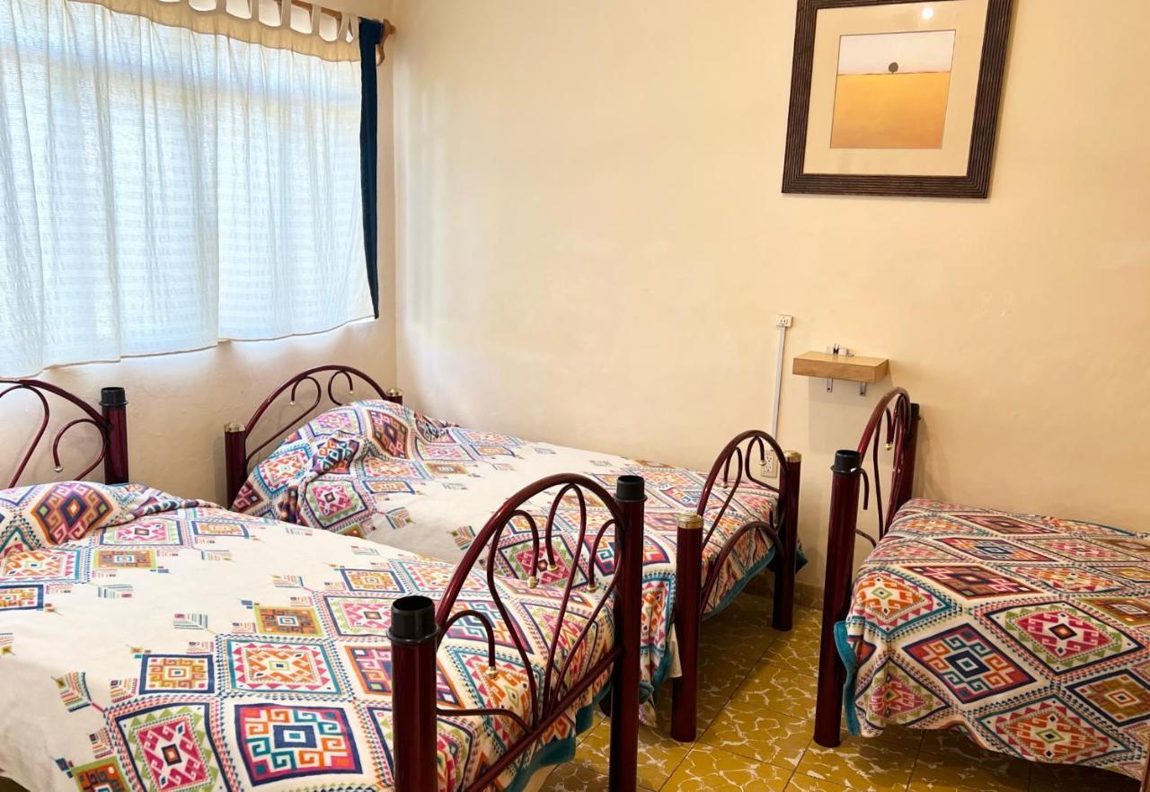 Los Nardos Hostel -Pet Friendly- Oaxaca Екстериор снимка