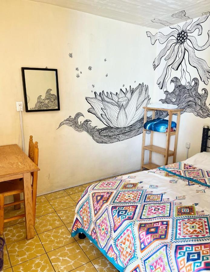 Los Nardos Hostel -Pet Friendly- Oaxaca Екстериор снимка