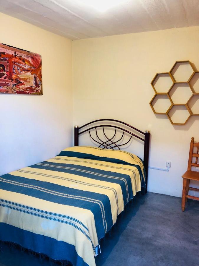 Los Nardos Hostel -Pet Friendly- Oaxaca Екстериор снимка
