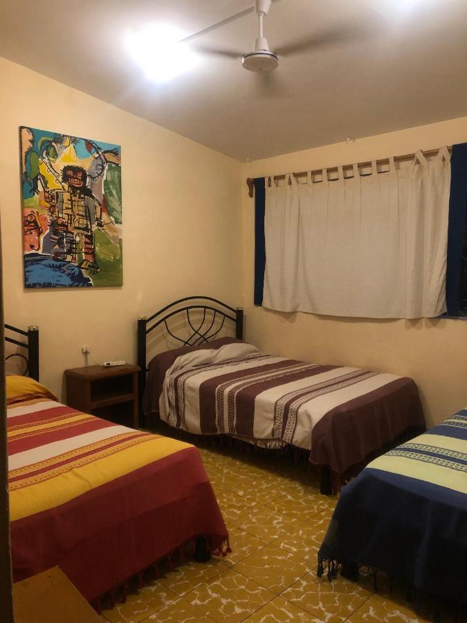 Los Nardos Hostel -Pet Friendly- Oaxaca Екстериор снимка