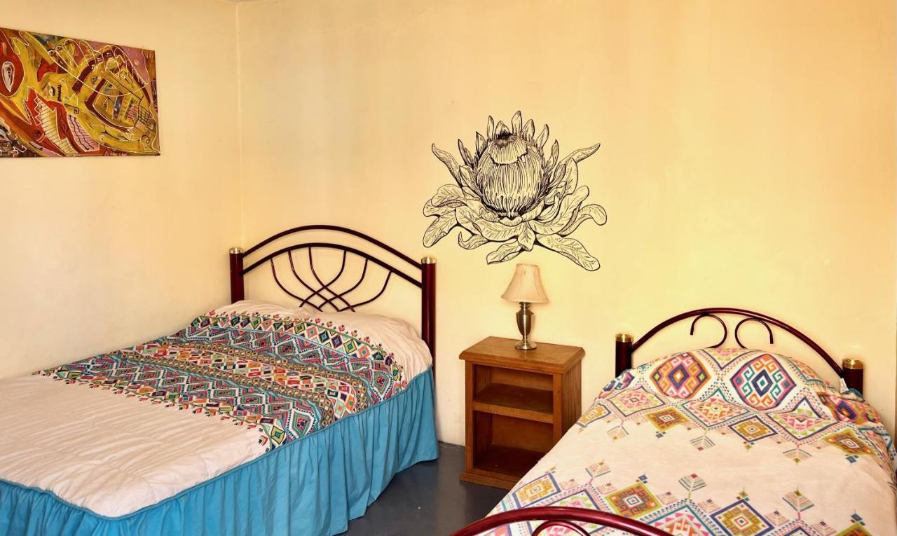 Los Nardos Hostel -Pet Friendly- Oaxaca Екстериор снимка
