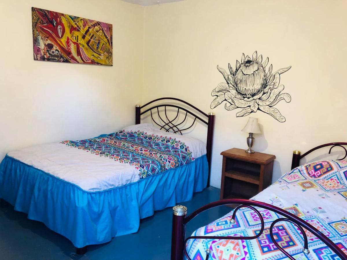 Los Nardos Hostel -Pet Friendly- Oaxaca Екстериор снимка