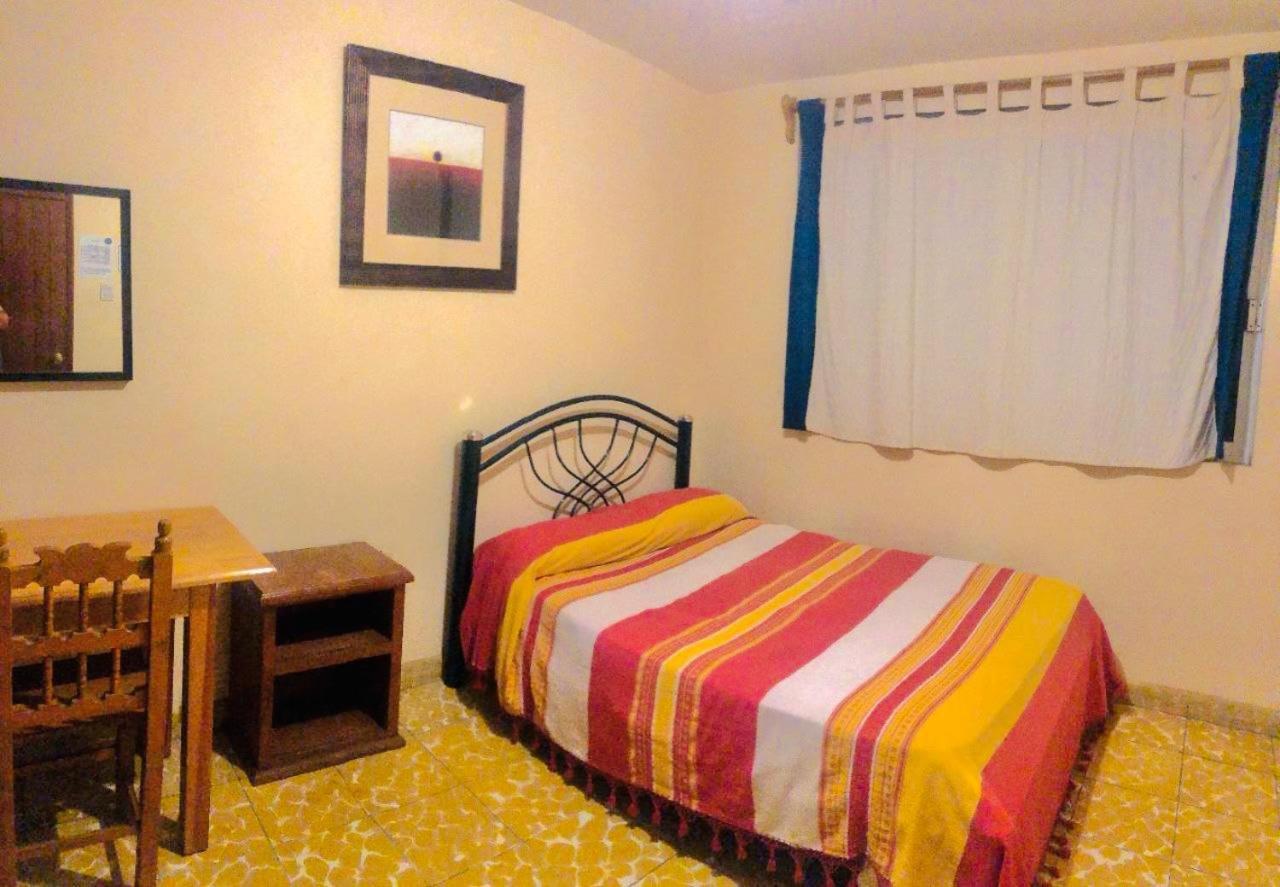 Los Nardos Hostel -Pet Friendly- Oaxaca Екстериор снимка