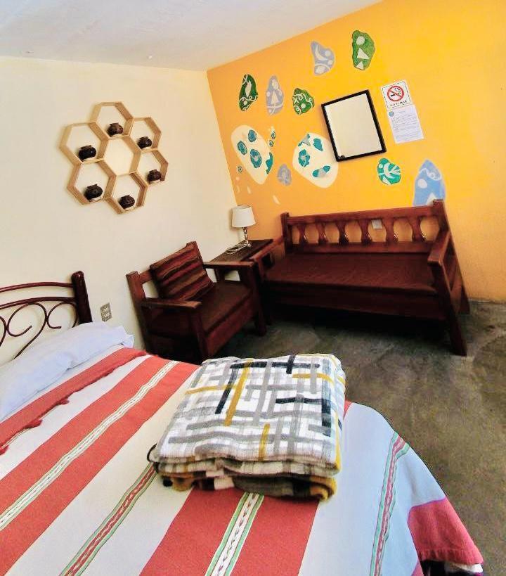 Los Nardos Hostel -Pet Friendly- Oaxaca Екстериор снимка