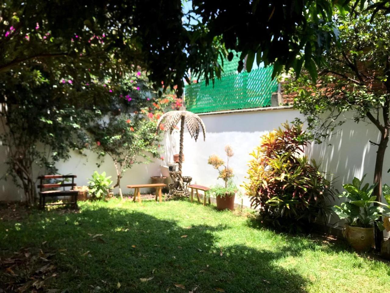 Los Nardos Hostel -Pet Friendly- Oaxaca Екстериор снимка