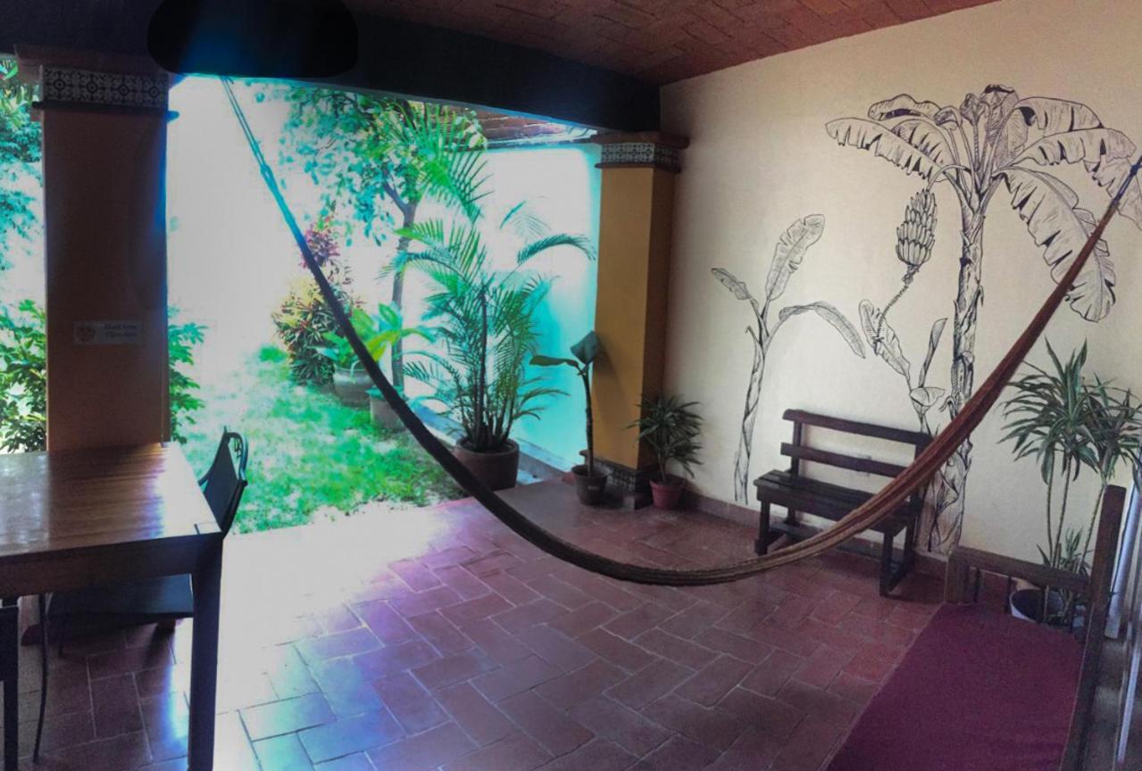 Los Nardos Hostel -Pet Friendly- Oaxaca Екстериор снимка