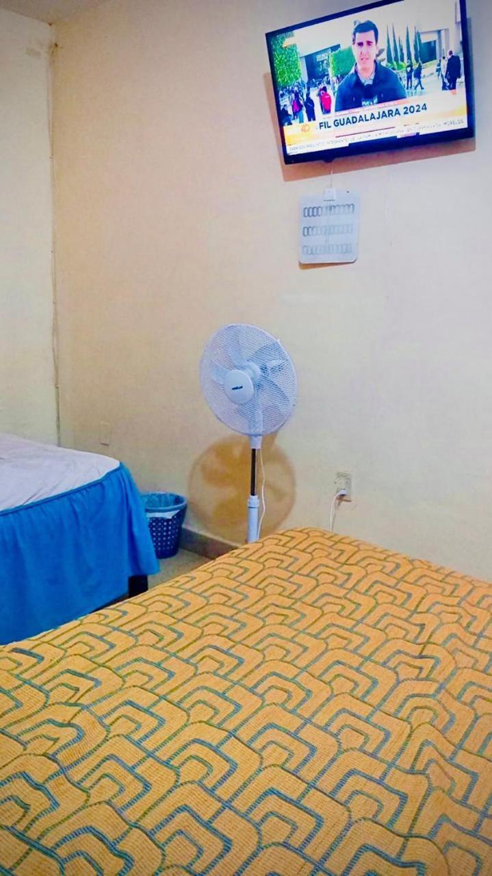 Los Nardos Hostel -Pet Friendly- Oaxaca Екстериор снимка